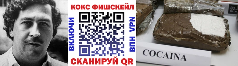 закладка Дорогобуж COCAIN Fish Scale