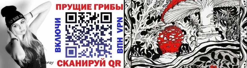 Псилоцибиновые грибы MAGIC MUSHROOMS  наркошоп  Дорогобуж 