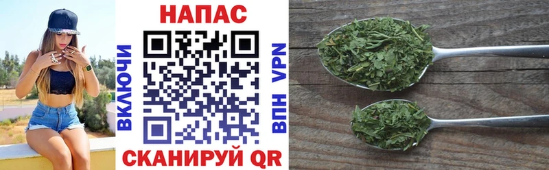дарнет шоп  Дорогобуж  Марихуана Ganja 